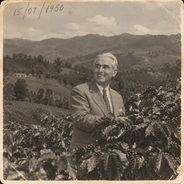 Archival sepia photo dated 15/07/1950: a smiling man in a suit among coffee plants, mountains behind